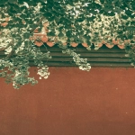 Азартные игры как элемент народной культуры и традиций разных народов