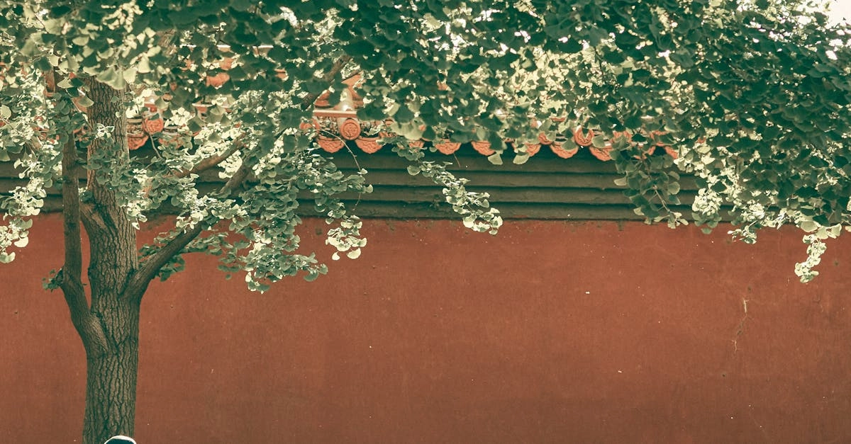 Азартные игры как элемент народной культуры и традиций разных народов