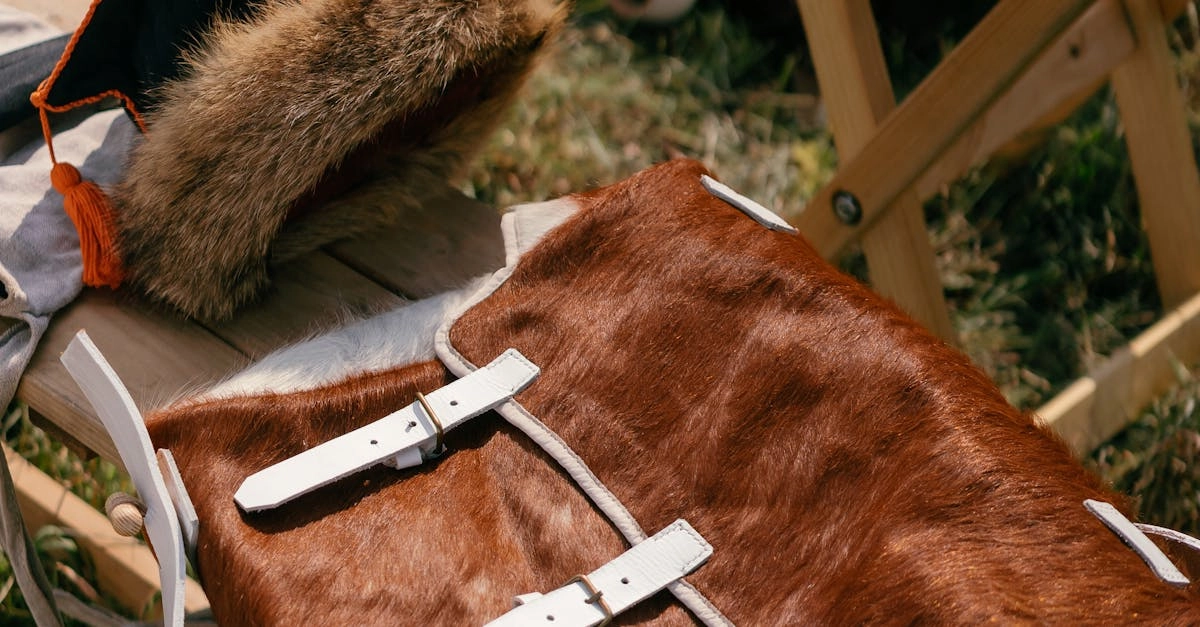 Образ собаки в народных ремеслах и традиционной культуре